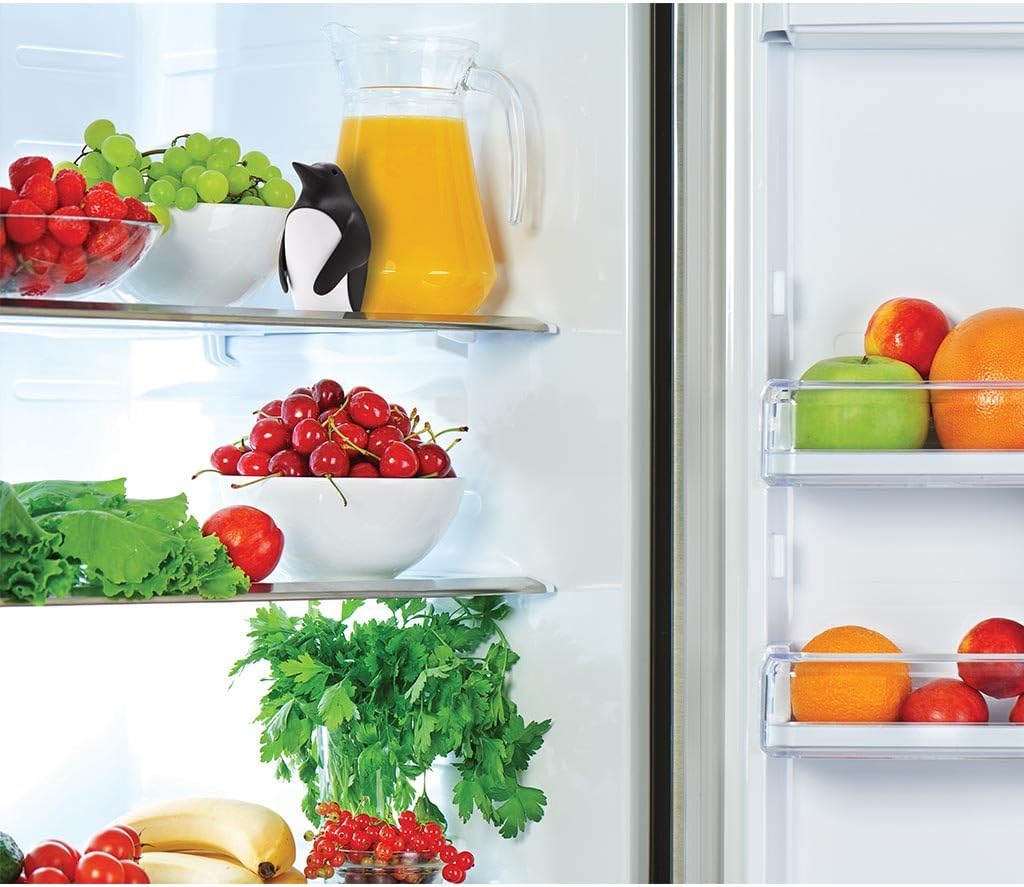 Désodorisant pour réfrigérateu - Kitchen Gadgets Holder avis et prix